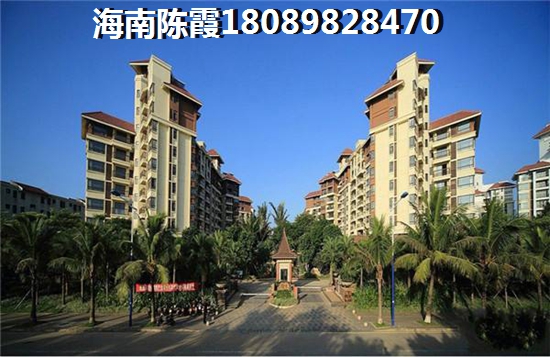 安吉国际缓山 一居  户型图