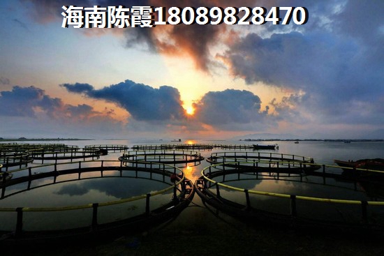 绿城锦玉园活动现场